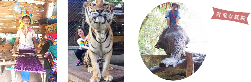 バーン・チェンマイ公式HP